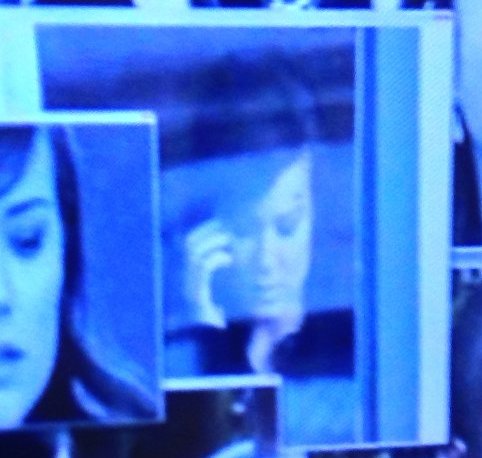 The Blacklist: Elizabeth Keen looking out of a window