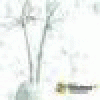 Eduardoslide's picture